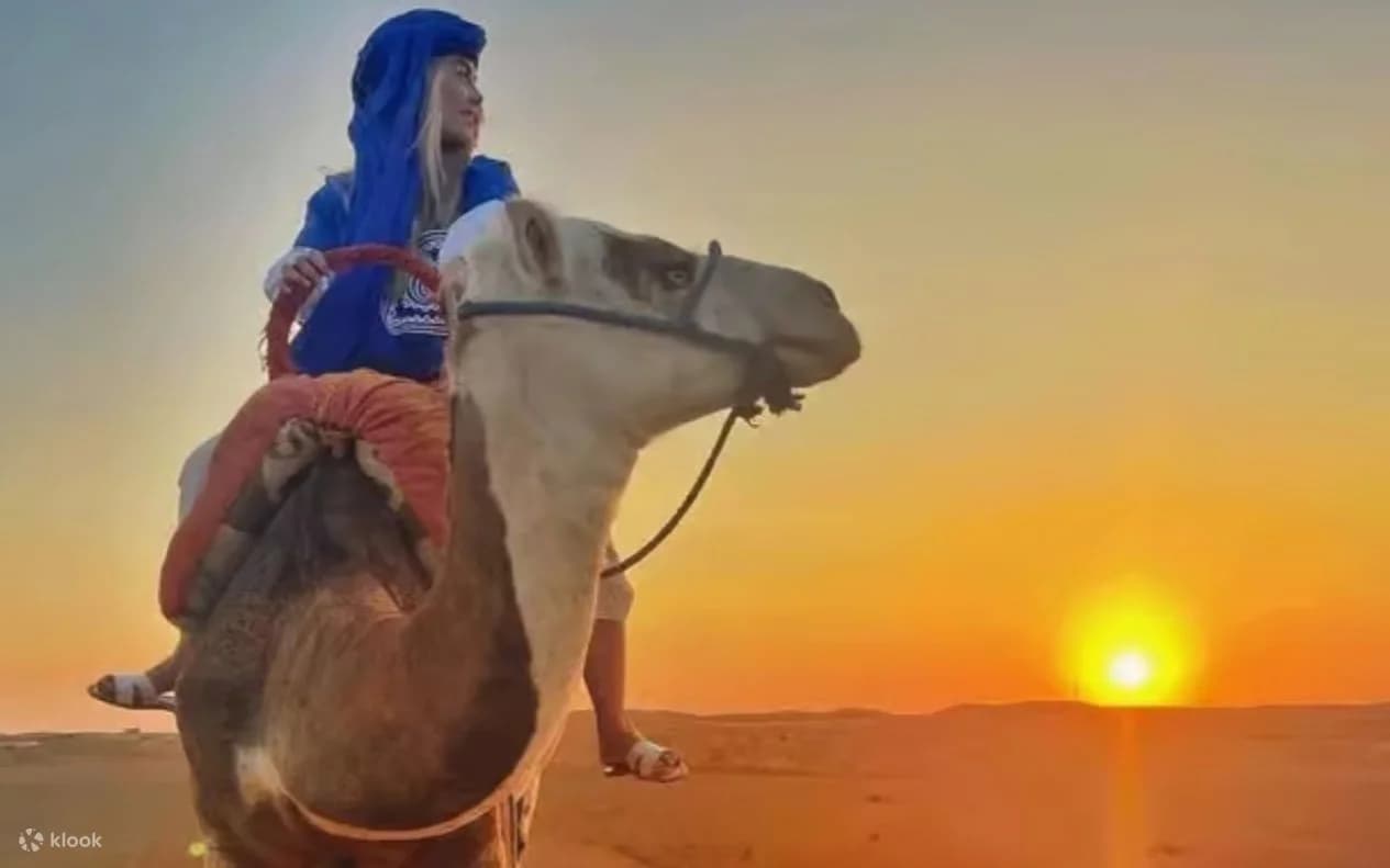 Agafay Desert Sunset Camel Ride & Dinner