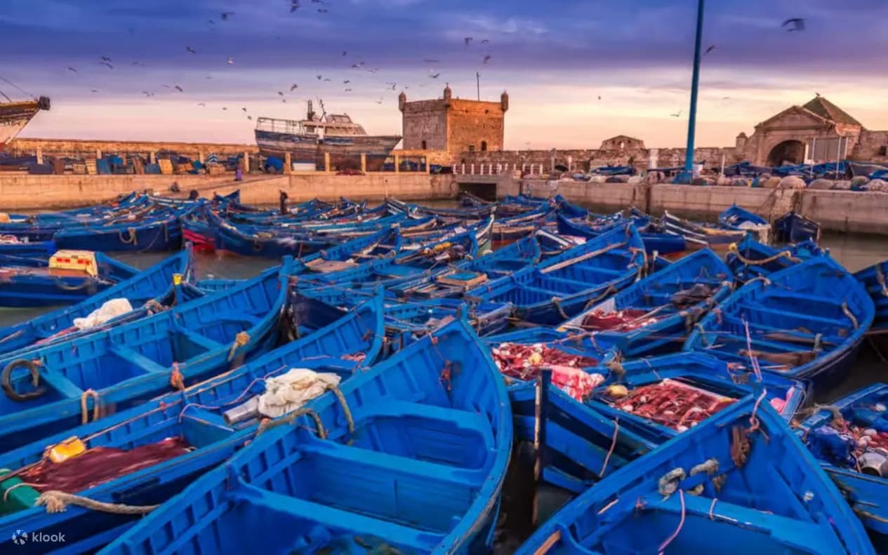 Marrakech Essaouira Medina Full-Day Private Tour
