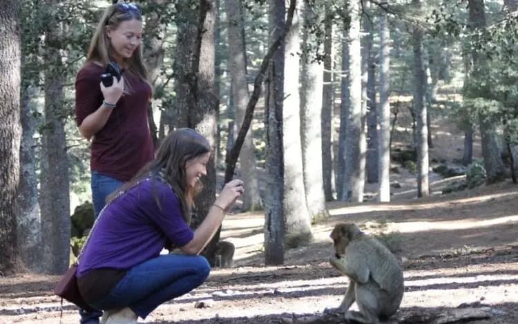 Middle Atlas and Ifrane National Park Day Tour from Fes